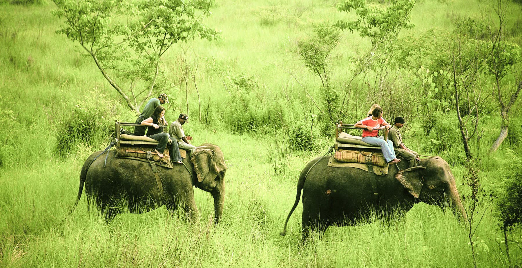 Chitwan National Park Tour