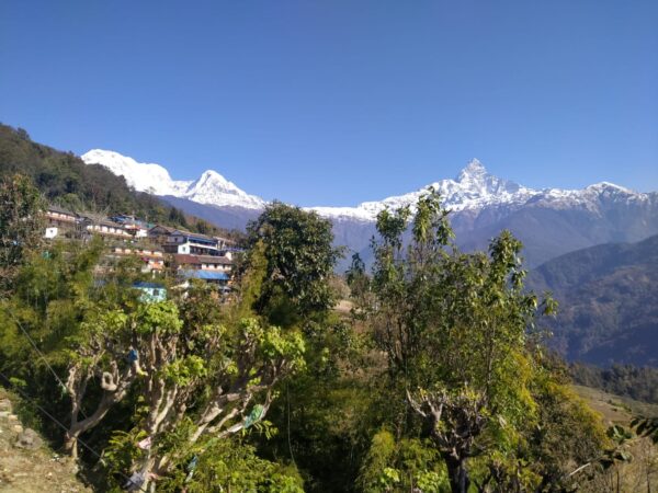 mardi himal view
