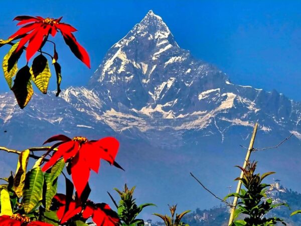 pokhara