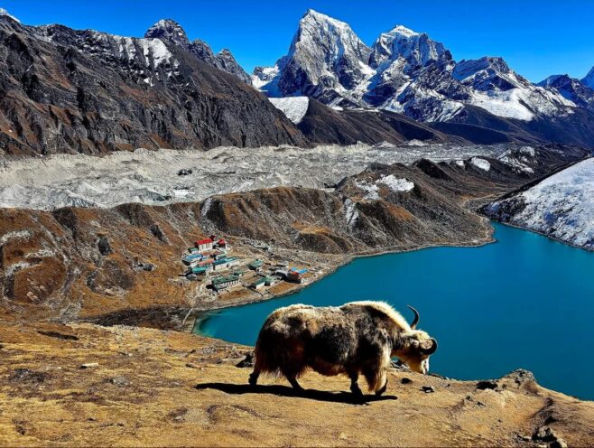 Gokyo lake