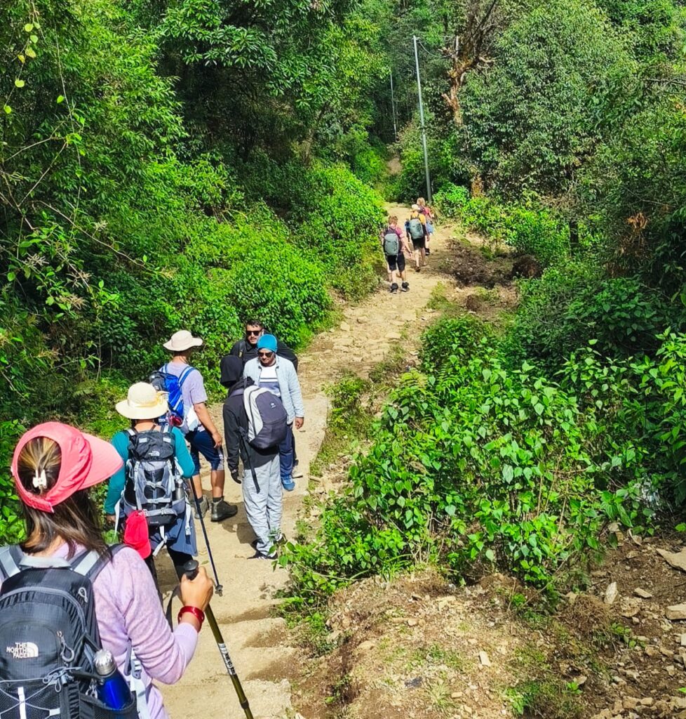 Best Hiking Destinations in Nepal: champadevi hike