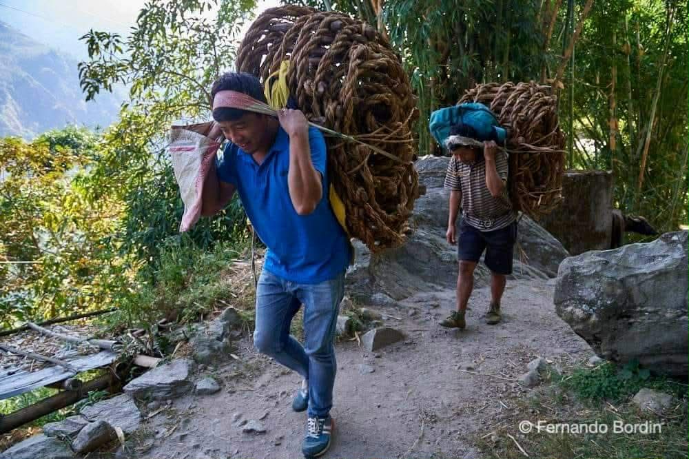 Honey Hunting in Nepal: Two honey hunters on their way to harvest wild honey.
